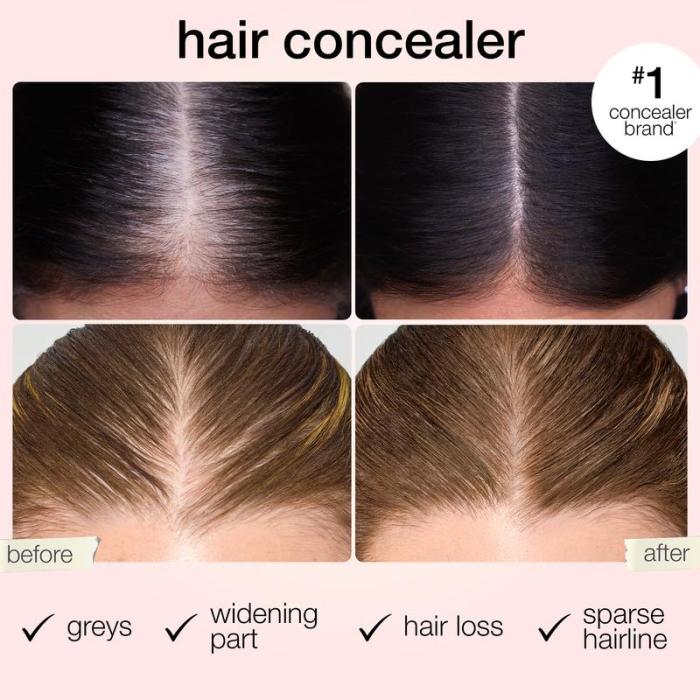Dab & Go Hair Concealer