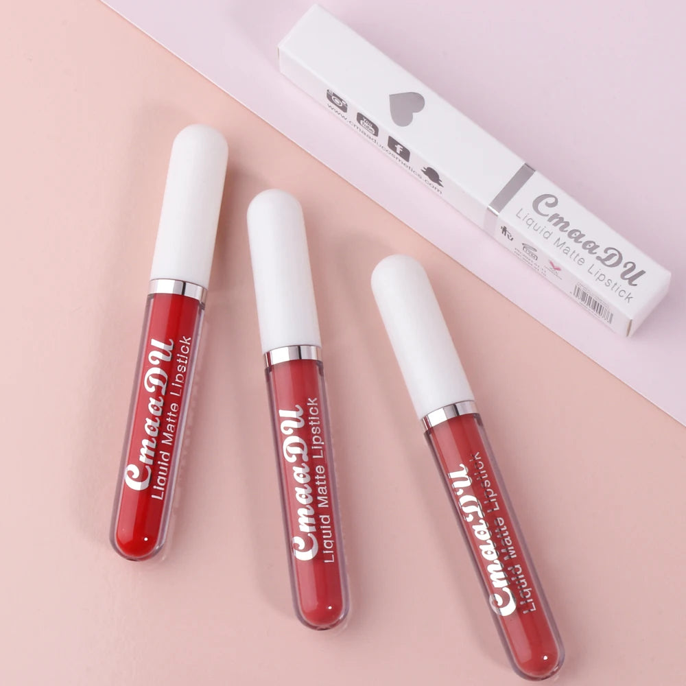 Matte Waterproof Long Lasting Lip Gloss set of 10 PCS