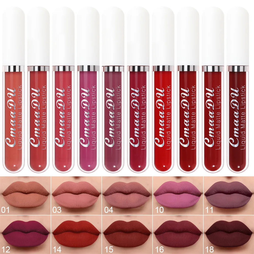 Matte Waterproof Long Lasting Lip Gloss set of 10 PCS