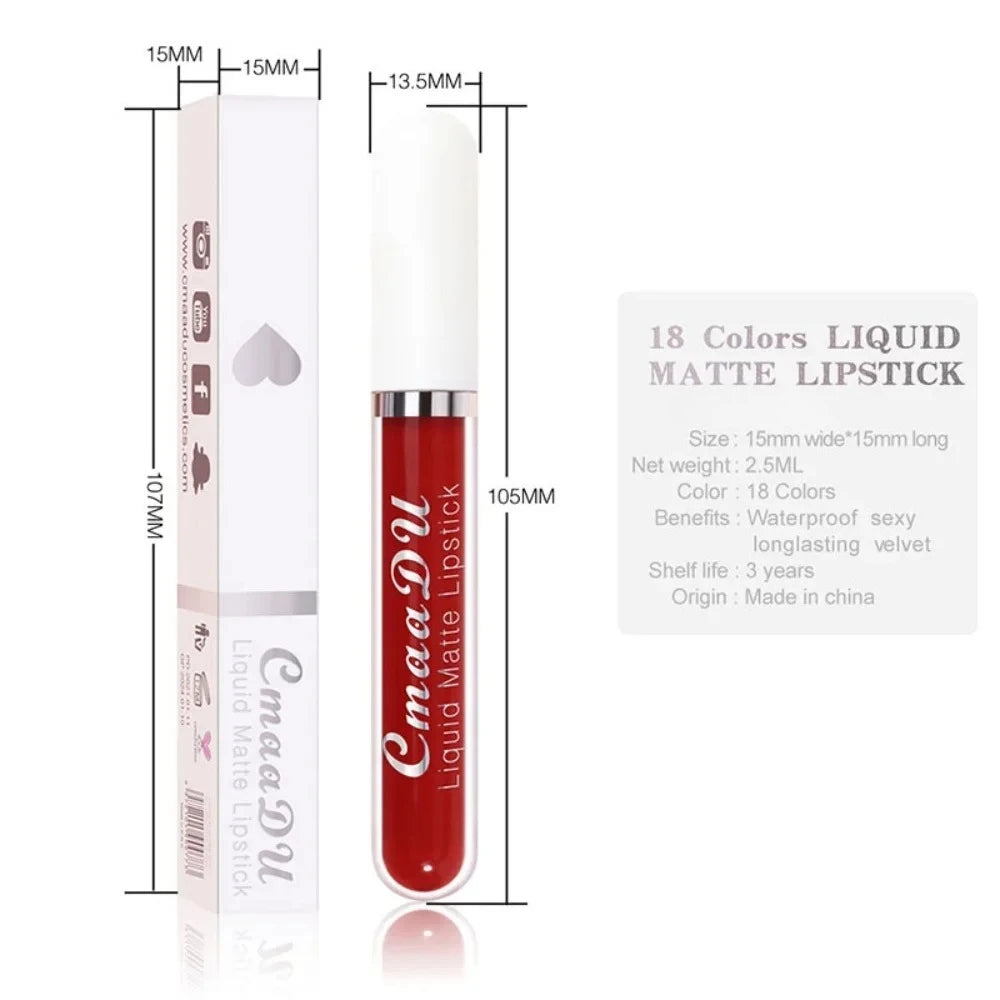 Matte Waterproof Long Lasting Lip Gloss set of 10 PCS