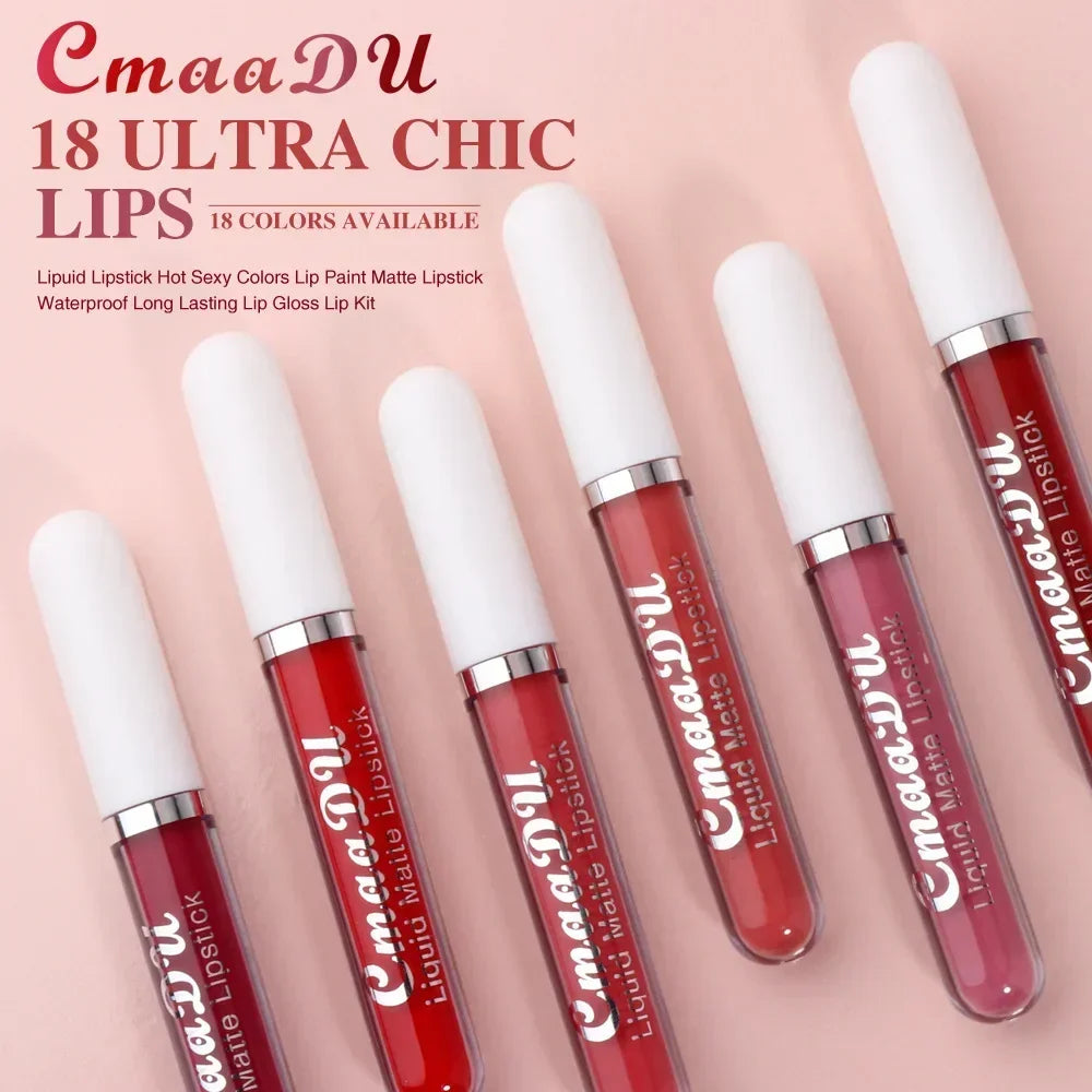 Matte Waterproof Long Lasting Lip Gloss set of 10 PCS