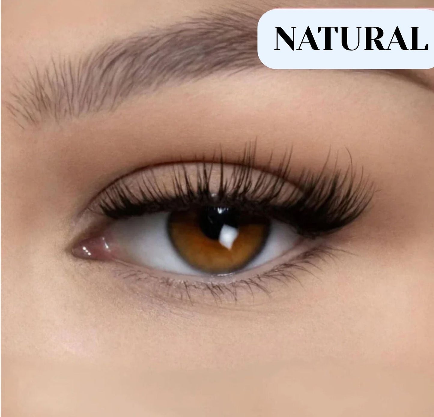 Glossmeco Magnetic Eyelashes