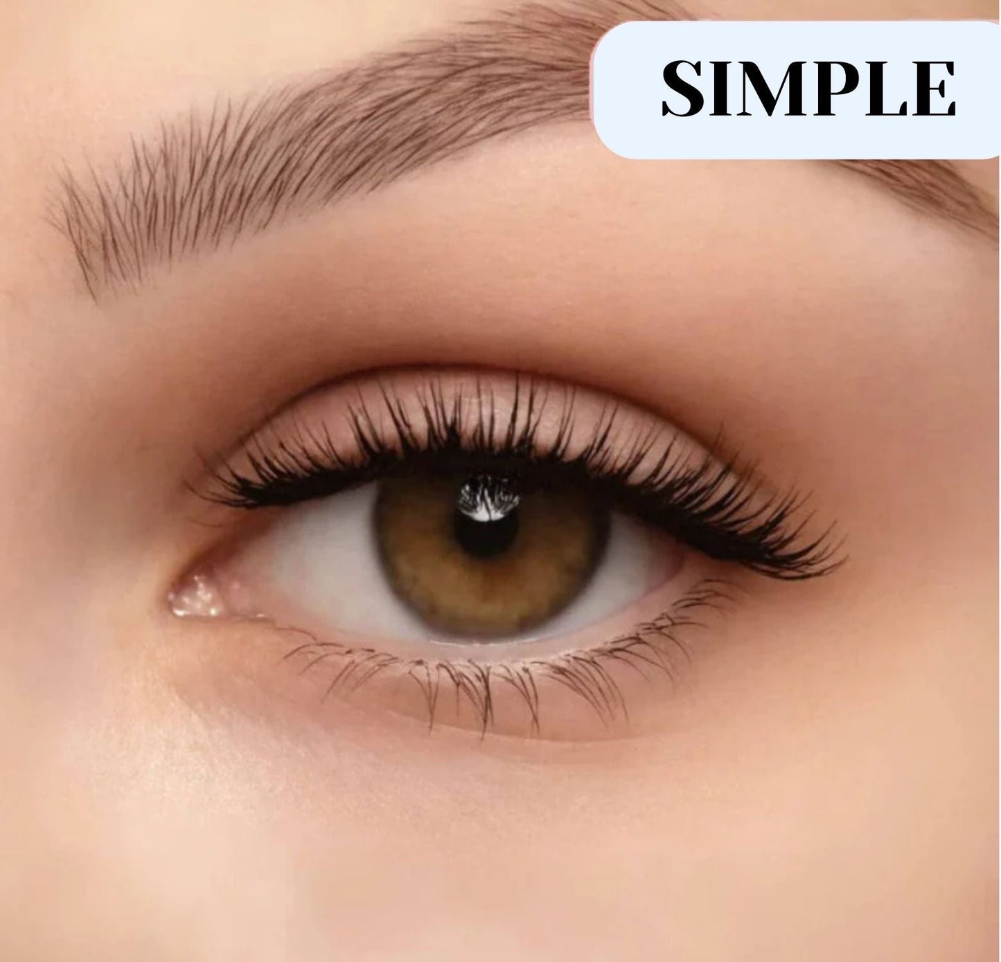 Glossmeco Magnetic Eyelashes