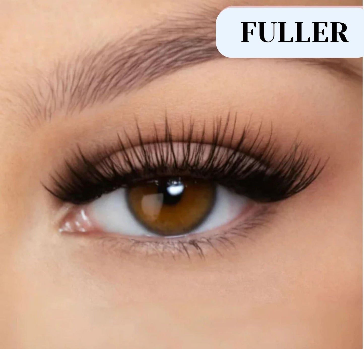 Glossmeco Magnetic Eyelashes