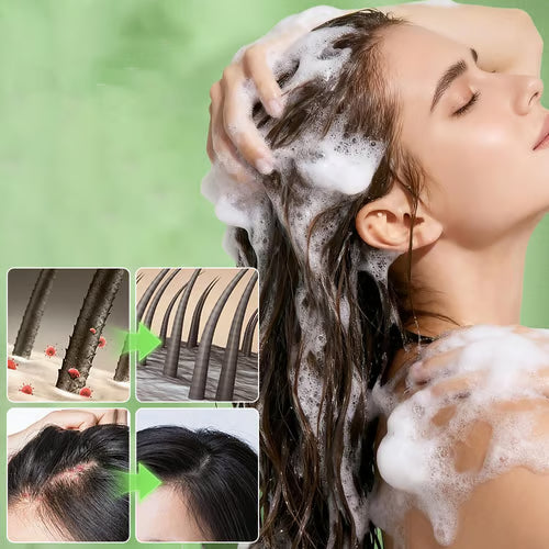 Foam Shampoo